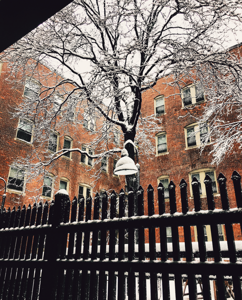 Boston winter - streettrotter
