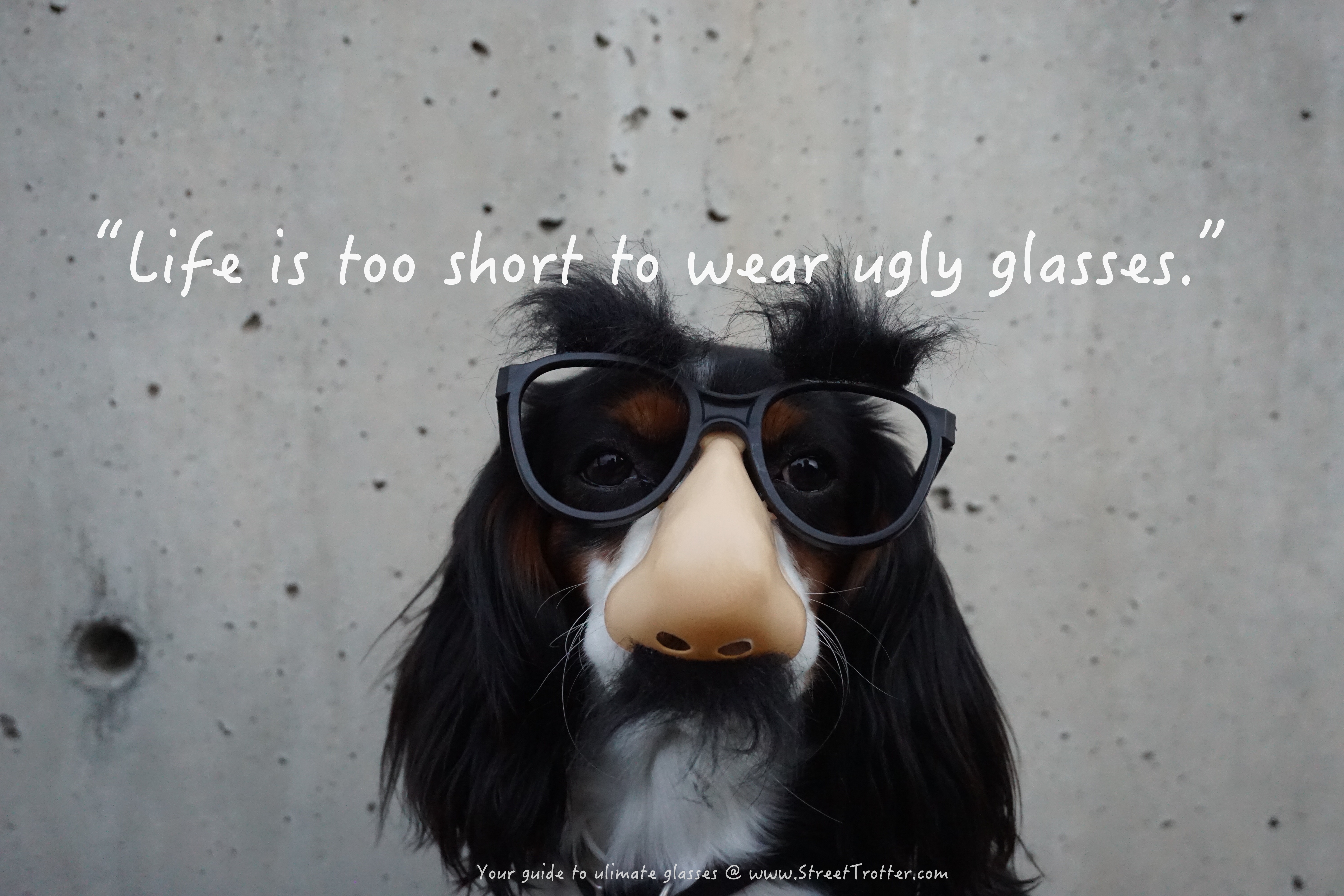 eyewear-glasses-trends-streettrotter